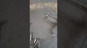 Тойота Виш. замена рулевой рейки. замена линек втулок. замена стояк. замена вертикалов.