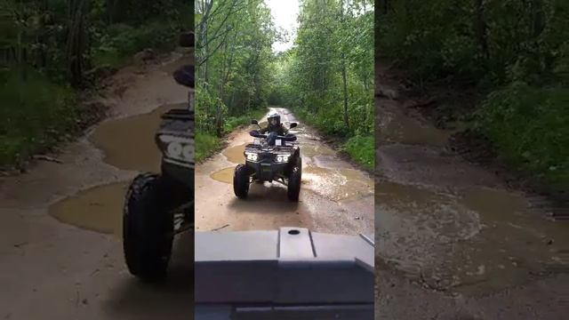 По лесным дорогам Кировского района Ленинградской области.