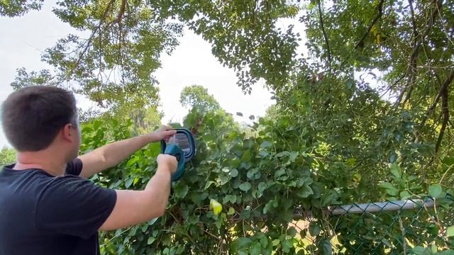 Dewalt VS Makita Hedge Trimmers - Same tools, different uses! смотреть онлайн