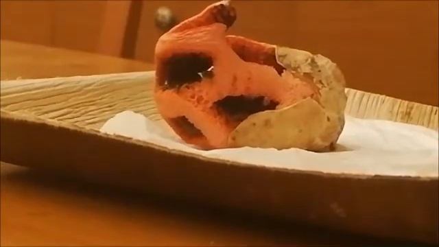 The rise and death of Clathrus ruber смотреть онлайн
