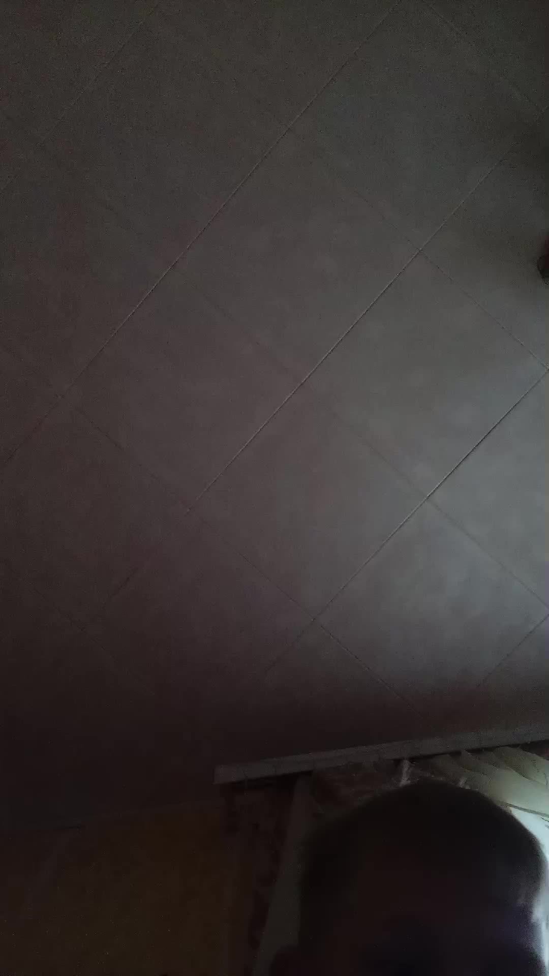 аалаоалала