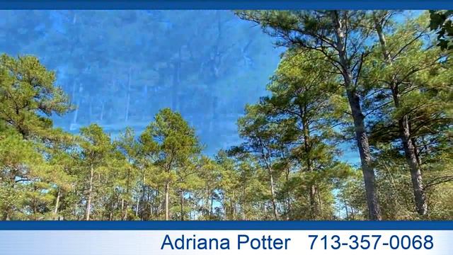 Video preview - Residential for sale - 000 Tudor Way, Magnolia, TX 77355 смотреть онлайн