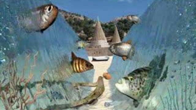 Yezidi  In Canada & America