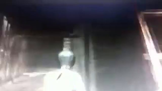 Secrets of Resident Evil 4: Ada смотреть онлайн