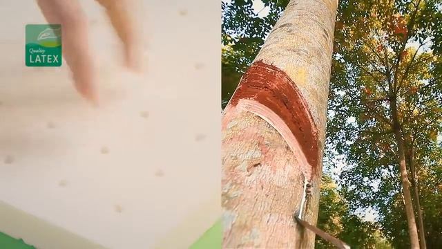 Детский ортопедический матрас Plitex Bamboo Sleep смотреть онлайн