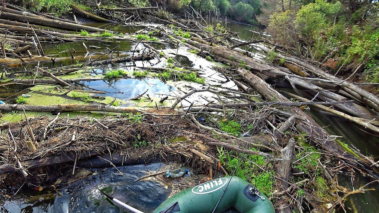 РЫБАЛКА В САМОМ СТРАШНОМ МЕСТЕ! ОПАСНЫЙ СПЛАВ - ИЗ РЫБАЛКИ В СТРАДАНИЯ! смотреть онлайн