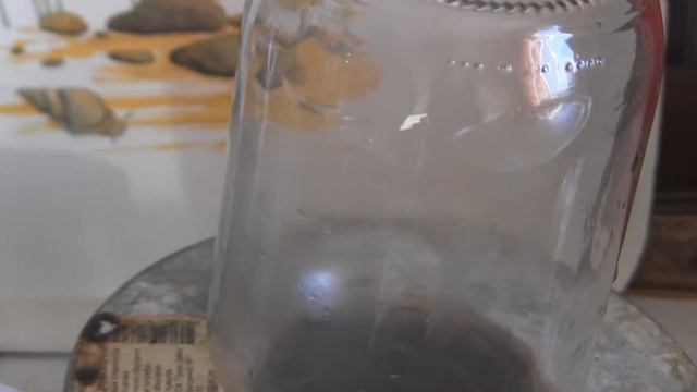 ВАРЕНЬЕ ИЗ АЙВЫ. РЕЦЕПТ АЙВОВОГО ВАРЕНЬЯ ДОЛЬКАМИ. АЙВА РЕЦЕПТЫ НА ЗИМУ смотреть онлайн