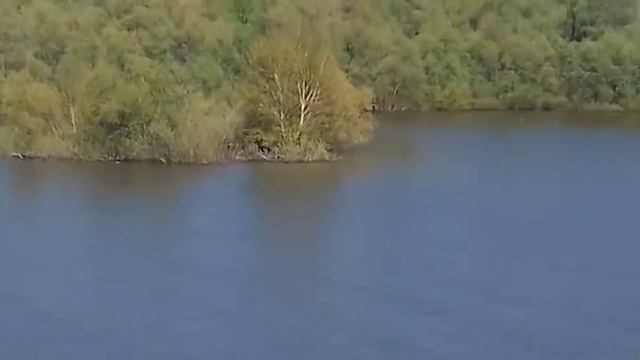 VID 20170527 WA0013 смотреть онлайн