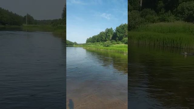 На речке с собакой (6 часов утра) смотреть онлайн