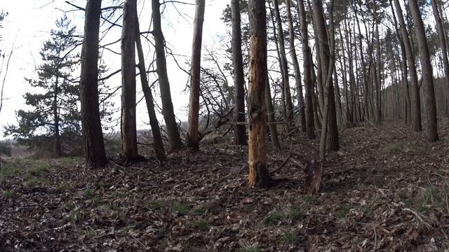Учусь Метать Сюрикен За 24 Часа смотреть онлайн