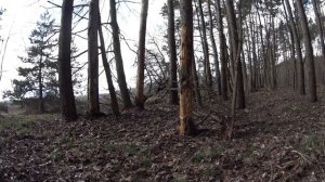 Учусь Метать Сюрикен За 24 Часа