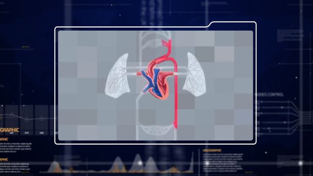CCC (общая информация)