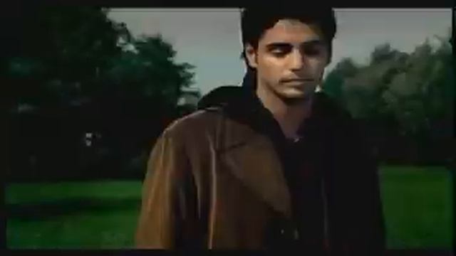 КОРНИ   Плакала берёза