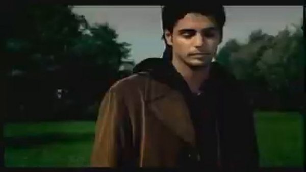 КОРНИ Плакала берёза