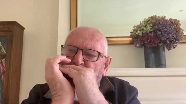 Sunny Banks - harmonica смотреть онлайн