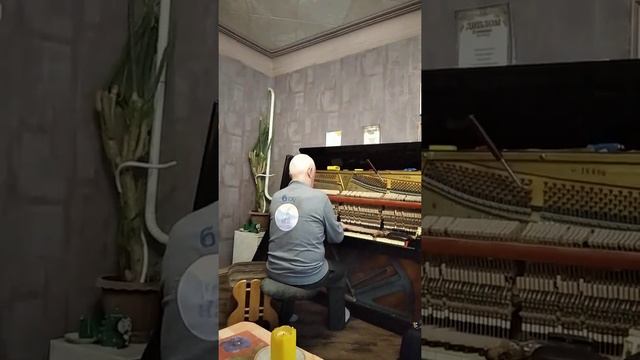 Гитарные мастера