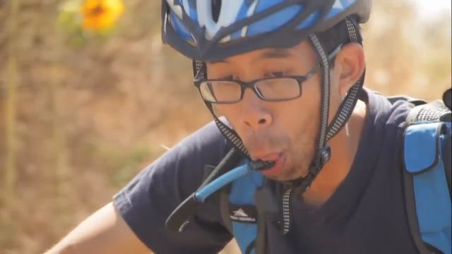 Офигенный ролик про овечек и туриста. =) смотреть онлайн