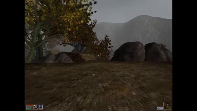 Lets Play Morrowind Overhaul 2.0 Ep23 смотреть онлайн