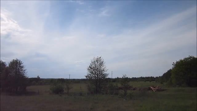 полёт беркута брянский лес смотреть онлайн