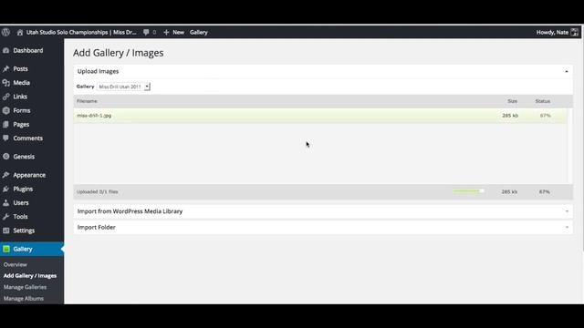 How to Edit a Photo Gallery in Wordpress смотреть онлайн
