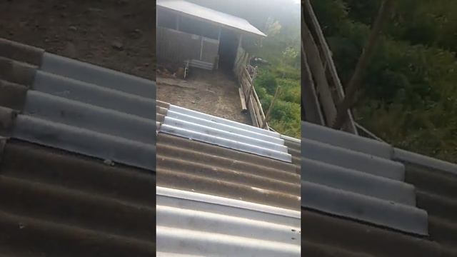 Наша вишнёвая дерево зацвела смотреть онлайн