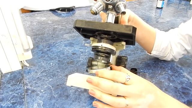 Строение микроскопа. смотреть онлайн