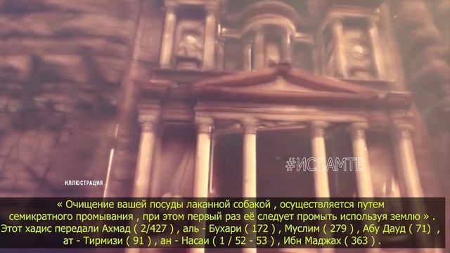 ПОЧЕМУ СОБАКА СЧИТАЕТСЯ ГРЯЗНЫМ ЖИВОТНЫМ? ОТНОШЕНИЕ В ИСЛАМЕ СЛЮНА И ШЕРСТЬ СОБАКИ! #ислам тв смотреть онлайн