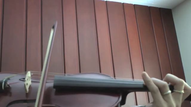 No-label Violin Vs Cecilio CVN 700