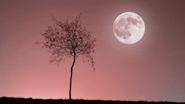 Медитация Полнолуние смотреть онлайн