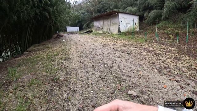 Инвестиционный проект! Эко-отель на берегу реки Эко-отель "EcoRiver" | Глэмпинг Сочи смотреть онлайн