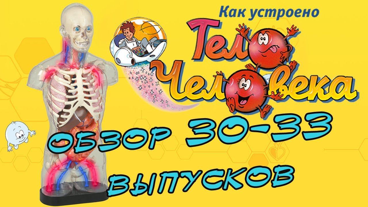 Как устроено тело человека. DeAgostini | 30-33 выпуски смотреть онлайн