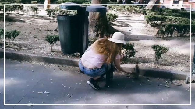 Museo de Frida Kahlo y el Castillo de Chapultepec (Музей Фриды Кало и замок Чапутельтепек) смотреть онлайн