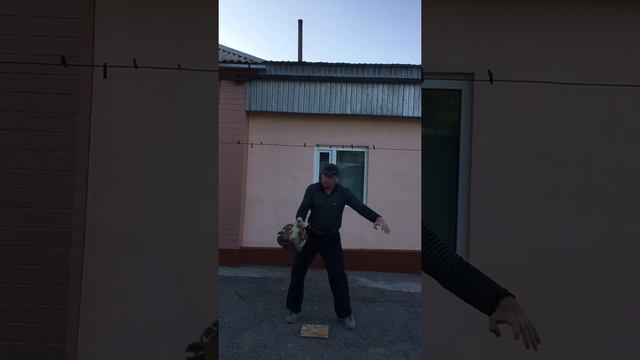 IDRIS Mukhmatov. Рывок ровно 47,3 кг гири на попа 5 раз. смотреть онлайн