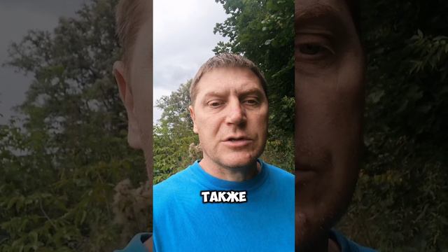 Что такое альтернативная и простая сделки? смотреть онлайн