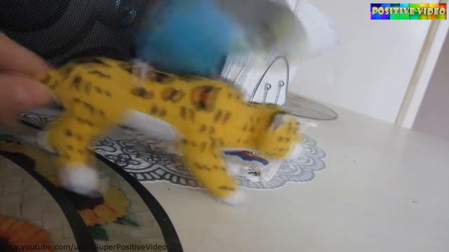 A parrot plays. Positive video. Попугай играет. смотреть онлайн