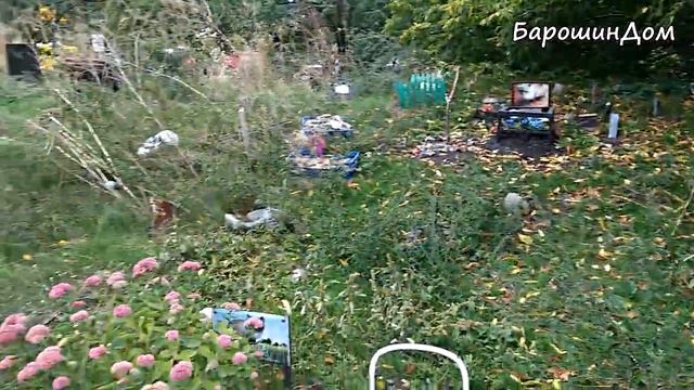 Ранняя осень.Зима - близко! Усиленного питания требуют уличные котики смотреть онлайн