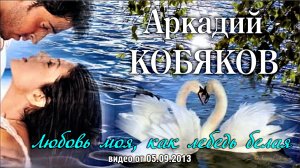 Аркадий Кобяков - Любовь моя, как лебедь белая/ Санкт-Петербург, 20.07.2013