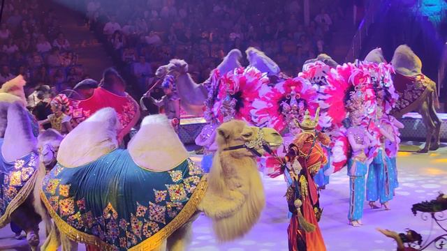 Цирк смотреть онлайн