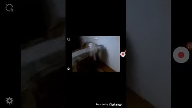 Как сделать видео наоборот на андройд смотреть онлайн