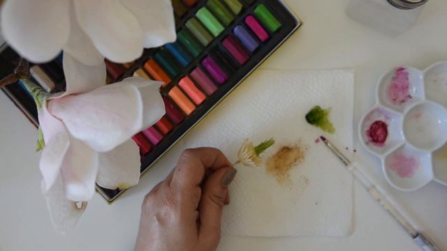 Magnolia Part 4( full blooming stage 2 -2) смотреть онлайн