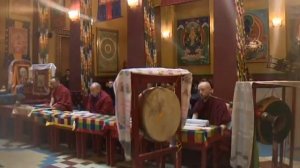 Старая деревня / «Малые родины большого Петербурга»