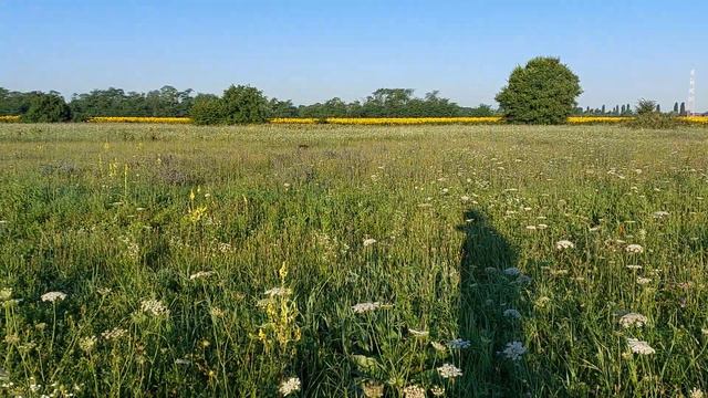 17 июля 2022 г. смотреть онлайн