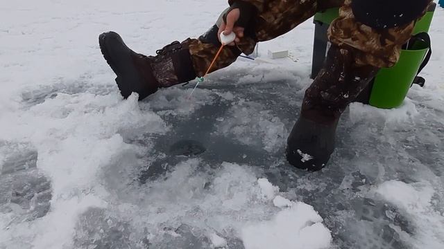 Очень красивая зимняя рыбалка в Астраханской области