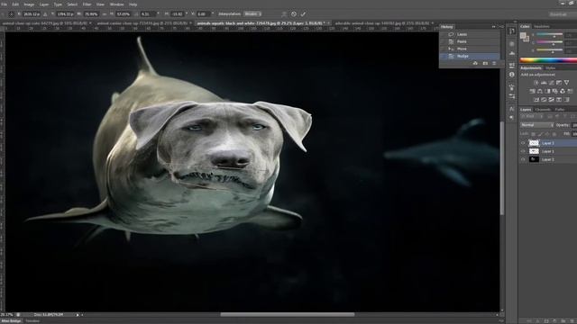 Shark + dog = shog. The making of a Photoshopped hybrid animal смотреть онлайн