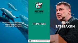 Иван Затевахин. Эволюция китов и дельфинов: Как потерять ноги и развить эхолокацию?