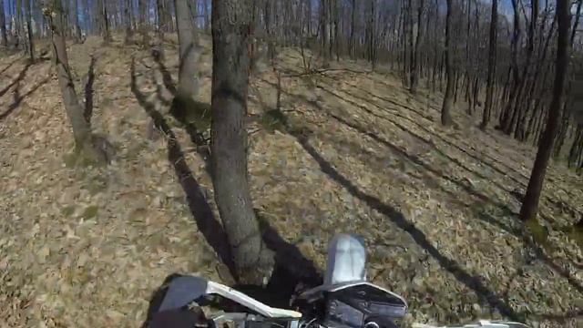 CRM 250 in the forest смотреть онлайн