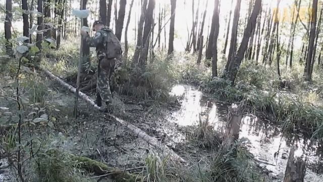 Этот мужчина не знал, что волки не поддаются дрессировки, но он это сделал смотреть онлайн
