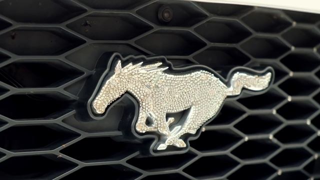 FORD FESTIVAL | Фестиваль Форд 2017 СПб смотреть онлайн