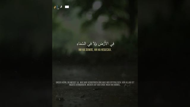 Тарик Мухаммад | Сура: Ибрахим [38-39 Аят] смотреть онлайн