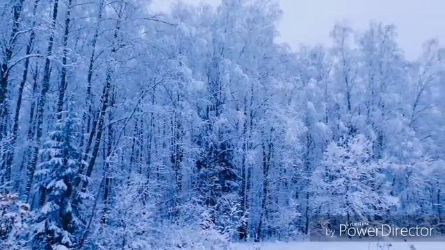 По Новогоднему закону смотреть онлайн
